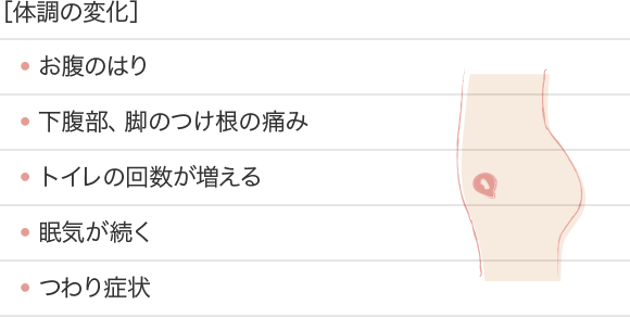 月齢別 マタニティドレスのレンタル特集 結婚式のレンタルドレス アイテムはcariru